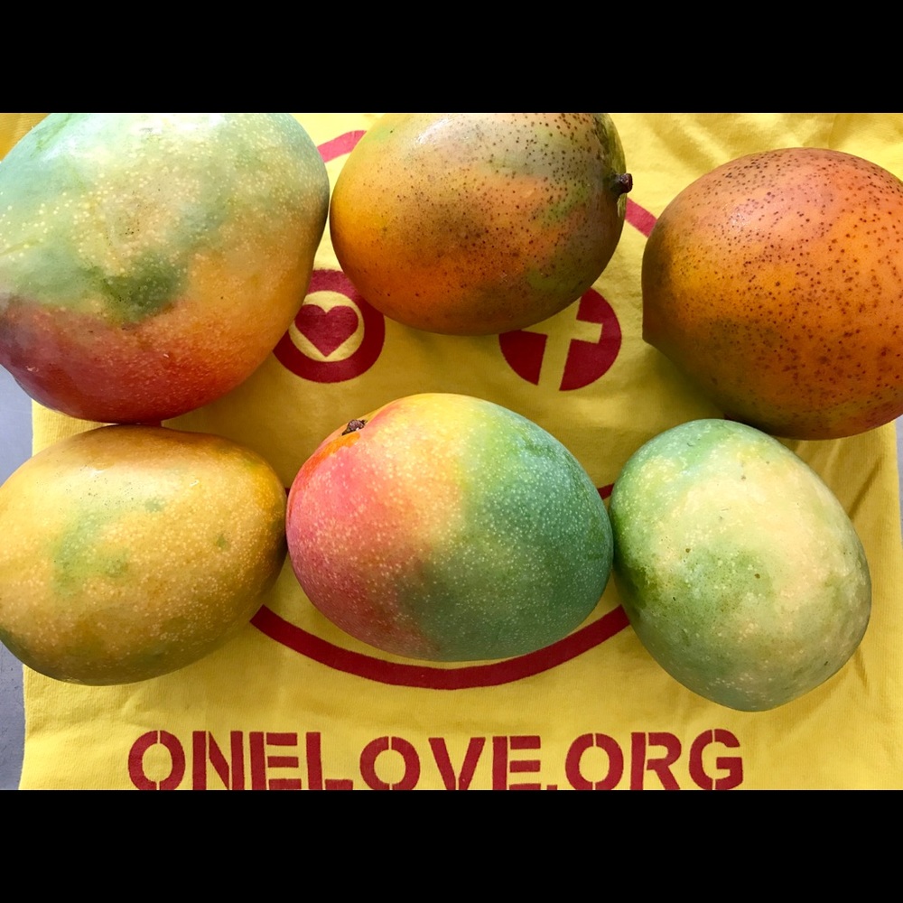 WELLNESS - Picture 2 of 2